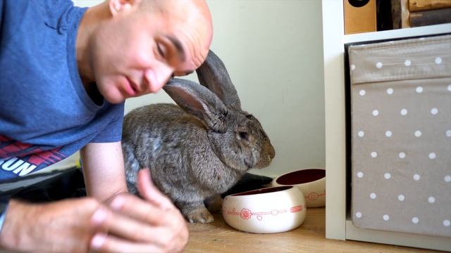 Laceless UltraBoost Update after 1 year of running смотреть онлайн