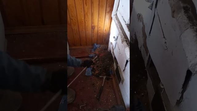 печное дело томск. Чистка печи в купеческом доме. г.Томск смотреть онлайн