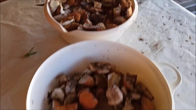 Для любителей грибов смотреть онлайн