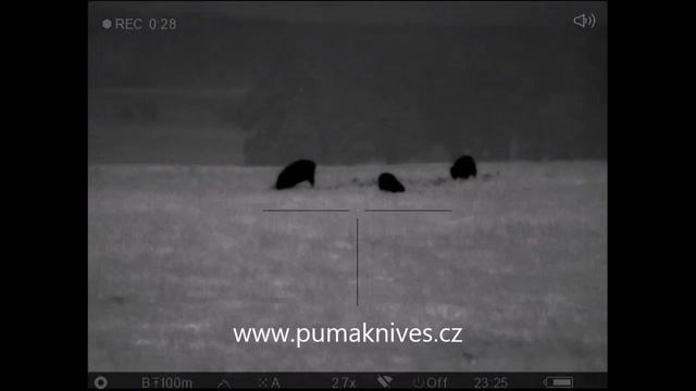 PULSAR Trail XQ50 - sestřih z lovu 9x divočák - hog hunting compilation смотреть онлайн