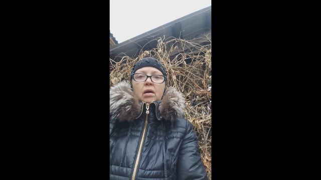 Правда о сайте дающим деньги 24000.ру смотреть онлайн