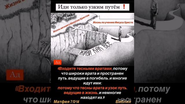 Входите тесными вратами! Обращение к верующим!Не совершай ошыбок.#рай#или #ад#словобожье#салтаненко смотреть онлайн