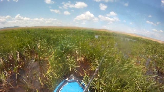 31 мая 2019 оз. Большое Мраморное.
