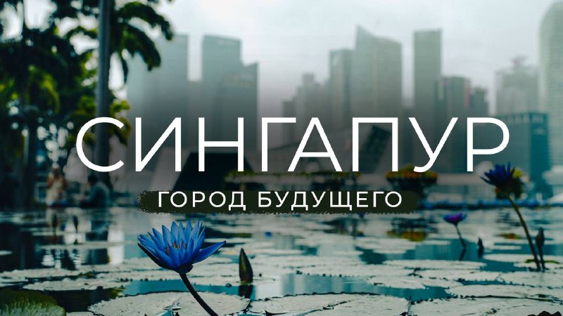 СИНГАПУР ― ГОРОД БУДУЩЕГО? Символы Сингапура, достопримечательности и портовая жизнь города|Часть 1 смотреть онлайн