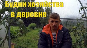 БУДНИ ХОЗЯЙСТВА в ДЕРЕВНЕ И СЕГОДНЯ НЕМНОГО НЕ ПОЗИТИВНОГО