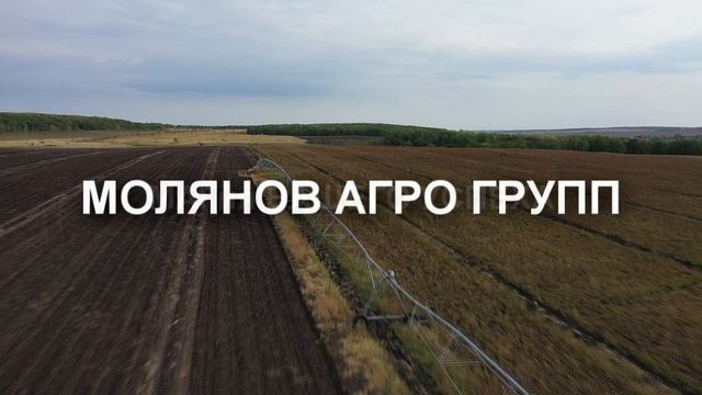 Семенной картофель от компании ООО "МОЛЯНОВ АГРО ГРУПП" смотреть онлайн