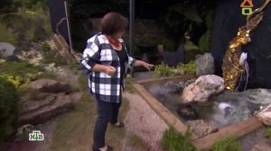 Dachni otvet 17.09.2017 дачный ответ на remont-online.net