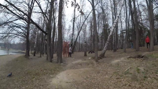 Обзор парка Кузьминки смотреть онлайн