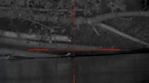 Охота на бобра с 22 LR , винтовка ТОЗ 78 01 , прицел Pulsar C 50, растояние 81 метр.