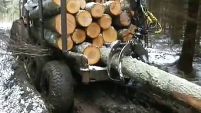 Трактор беларусь на вывозке леса по бездорожью /Tractor belarus MTZ on removal of the wood смотреть онлайн