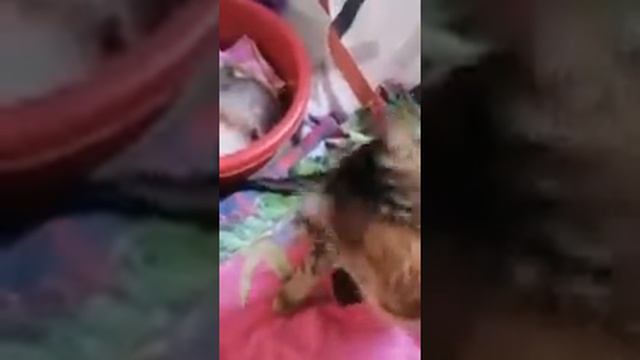 И что бы ни случилось, — не падай духом.