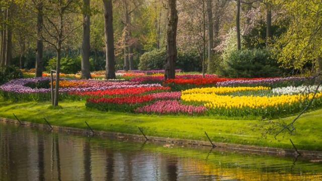 Королевский парк  Keukenhof