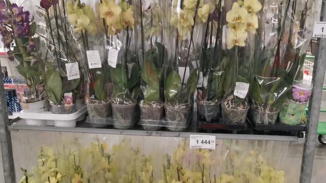 Обзор строительных магазинов. Что поменялось. смотреть онлайн