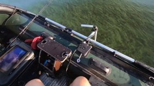 Заряженная ПВХшка и ловля сома с Garmin Panoptix