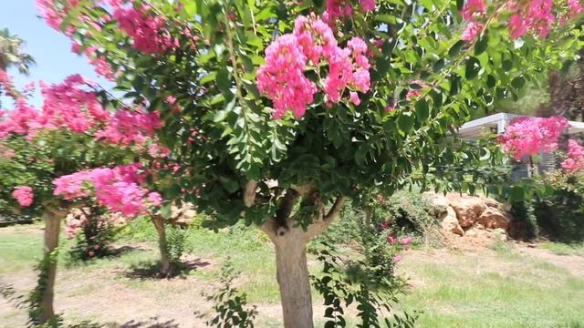 Анталия. Турция 2022. Отдых в Турции в 2022. Анталья.