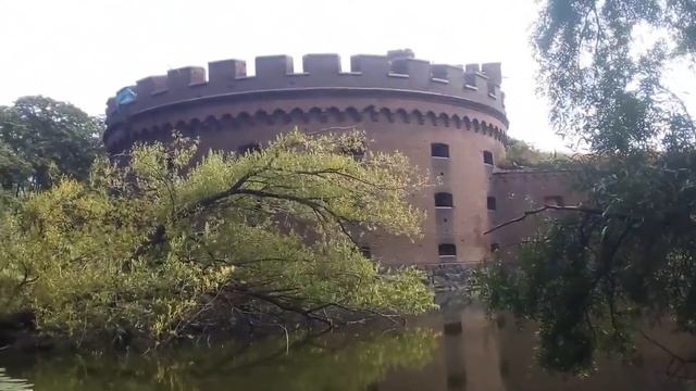 Блошиный Калининград август