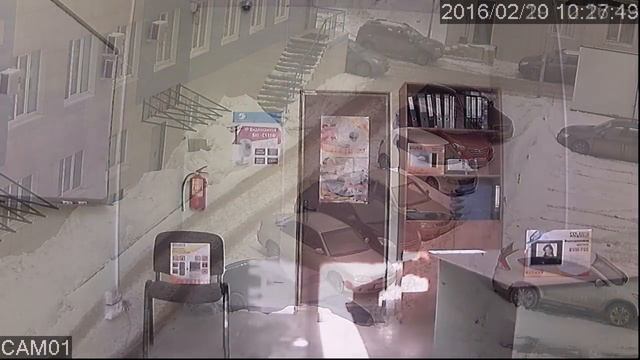 SVС D69V Купольные внутренние камеры Cистемы видеонаблюдения Satvision