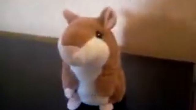 Говорящий Хомяк Повторюшка смотреть онлайн