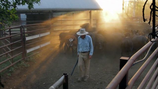 Queensland cattle farmer describes impact of coal смотреть онлайн