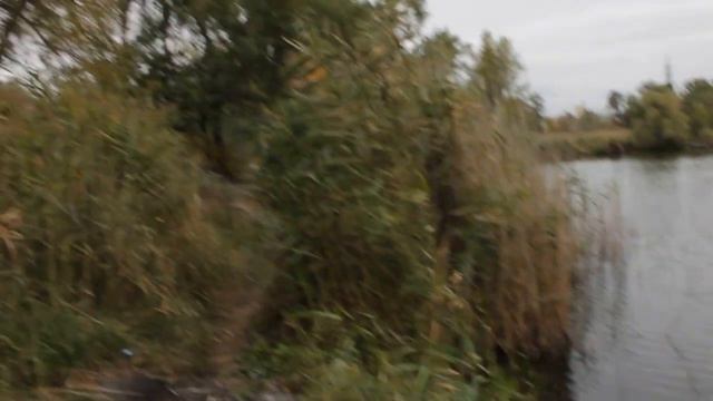 2017 10 02__Поездка на велосипеде вдоль реки Лопань__4 смотреть онлайн