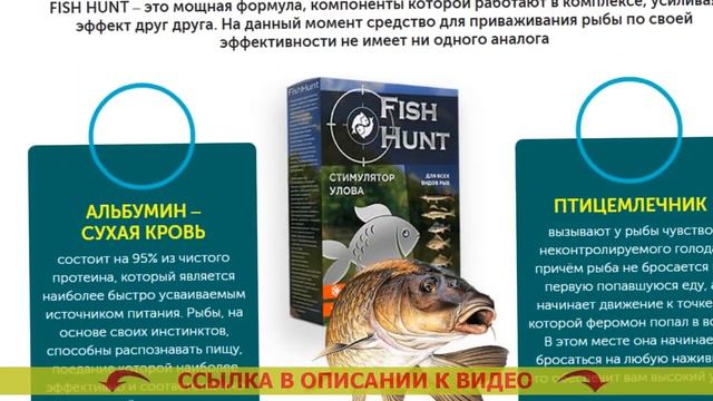 Приманки для рыбалки на карася