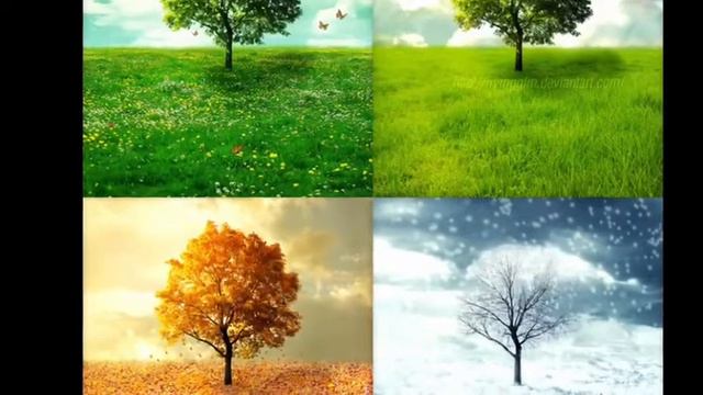 The seasons and how plants and animals adapt to them