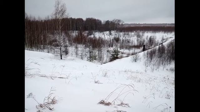Snowmoto Сноубайк своими руками смотреть онлайн