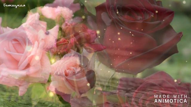 С Днём Рождения, Доченька! Красивая Музыкальная Видео Открытка. смотреть онлайн