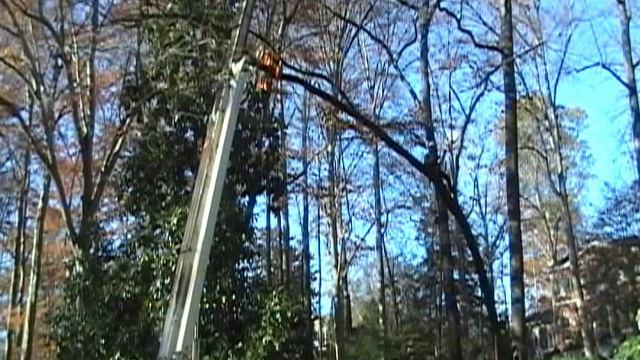 Boutte Tree - RigEm&Roll смотреть онлайн