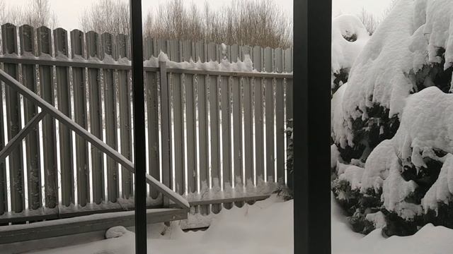 Навесы из поликарбоната замело. Каждому навесу дворник! Танцы с бубнами 18.12.22, чистим уже 3-й ра