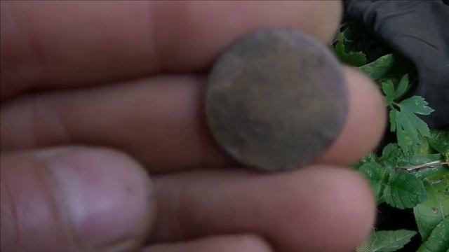 Коп монет по лесным поселухам смотреть онлайн