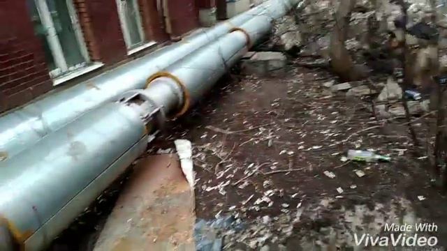 Место где подилась Зита - гуляем... смотреть онлайн