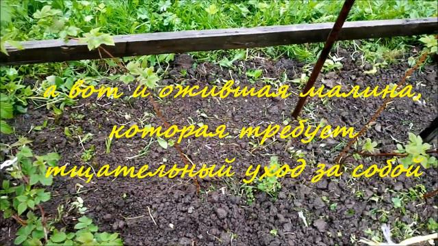 Начало лета 2017 смотреть онлайн