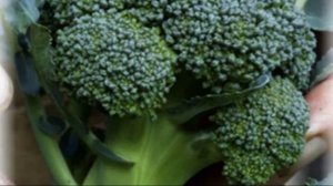 Лучшие сорта капусты брокколи и гибриды