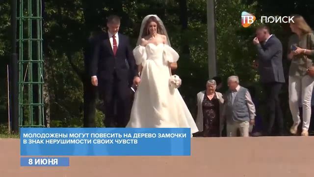 На площадке Вальс цветов установили дерево смотреть онлайн