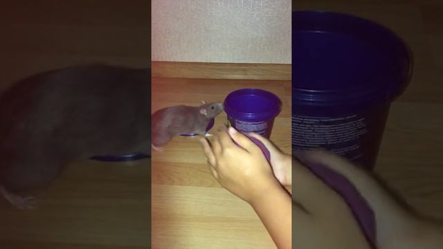 Открываем вместе с Айфиком Космический песок смотреть онлайн