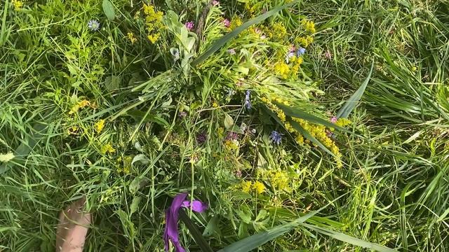 Як плести обрядовий вінок на Івана Купайла смотреть онлайн