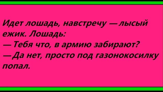 Анекдоты про ёжиков смотреть онлайн
