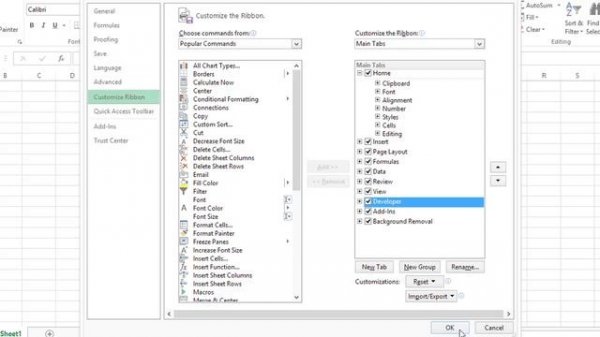 How to Insert ActiveX in Excel : Microsoft Office Lessons