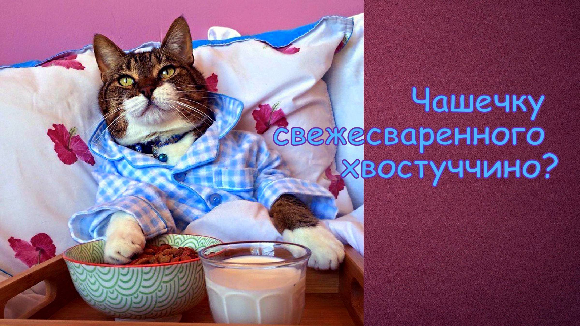 Чашечка хвостуччино