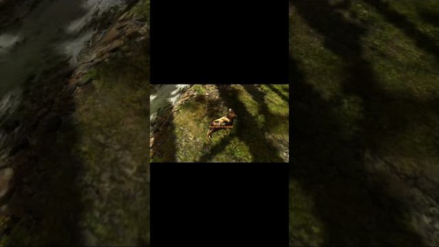 Deer Hunter 2014 смотреть онлайн