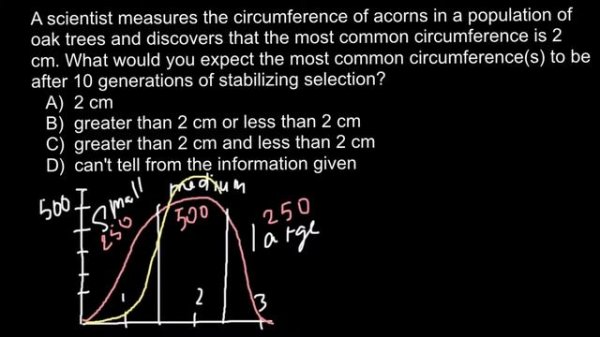 Definition of stabilizing selection