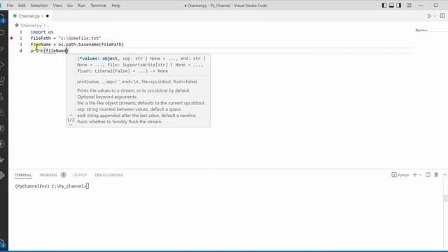 Python Tip: Extract File Name From File Path In Python смотреть онлайн