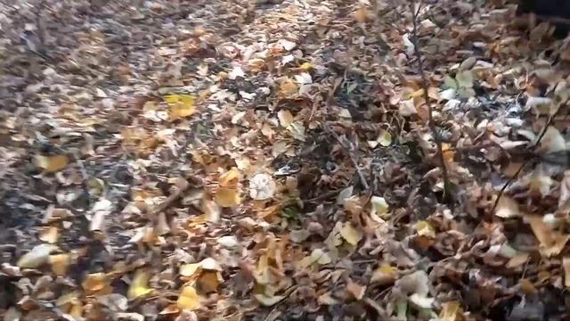 Гуляю с прибором, дышу кислородом. смотреть онлайн