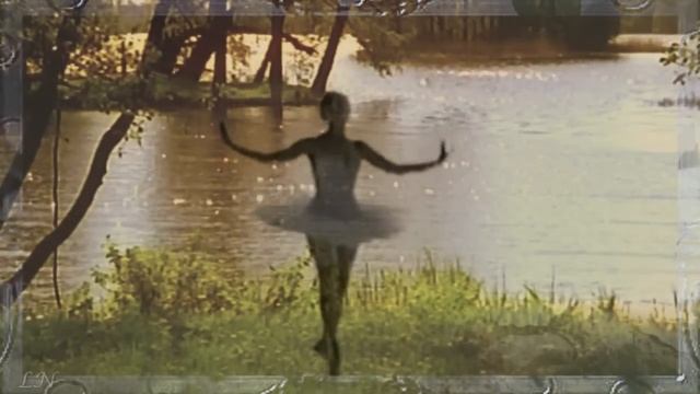 К.Сен-Санс - Лебедь... - Camille Saint - Saens Swan смотреть онлайн