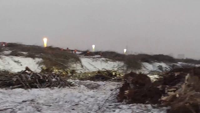 Жителей Москвы возмутила вырубка лесных насаждений рядом с парком. смотреть онлайн