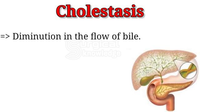 Common Medical Terms / Medical Terminology / Parts-2 смотреть онлайн