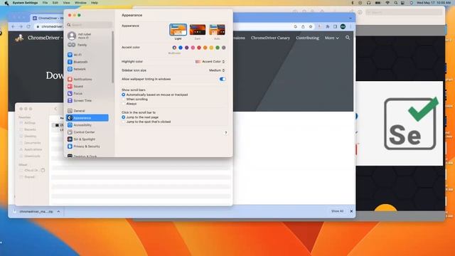 How to Fix ChromeDriver Cannot Be Opened Because of Unknown Developer смотреть онлайн
