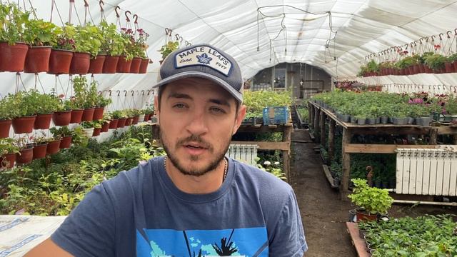 Почему у нас нет травы на участке. Отвечаю на вопросы о сорняках и гербицидах смотреть онлайн