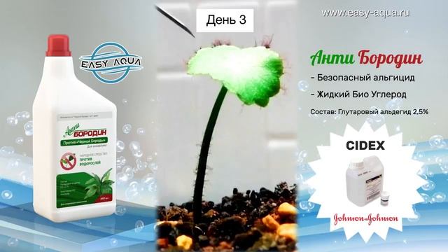 АнтиБородин - Против водорослей в аквариуме смотреть онлайн